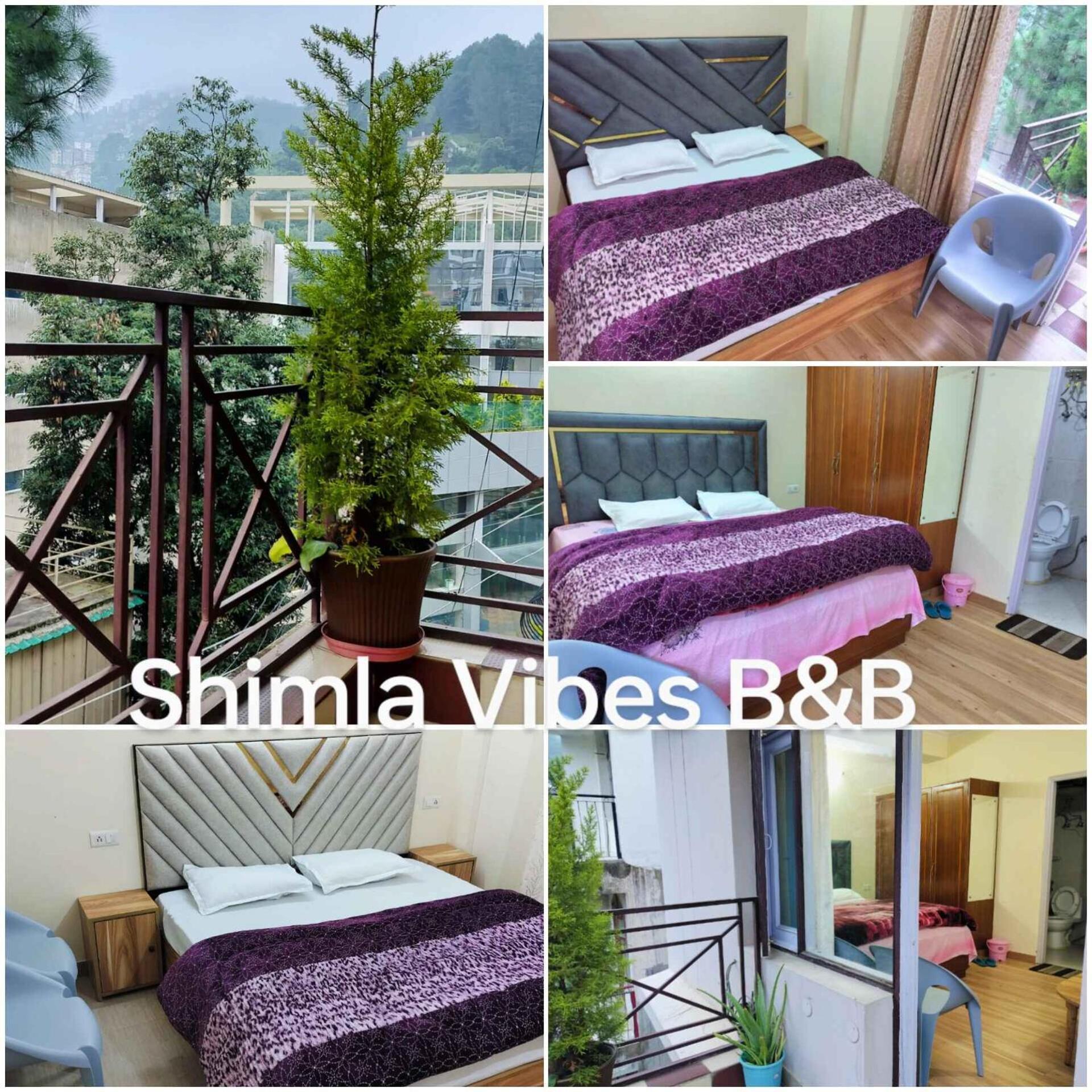 Shimla Vibes B & B Free Pick And Drop From Isbt Shimla Luaran gambar
